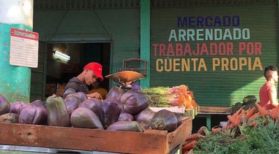 man with red cap measuring food with a cart of eggplant in the foreground