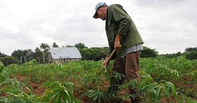 Pequeño agricultor