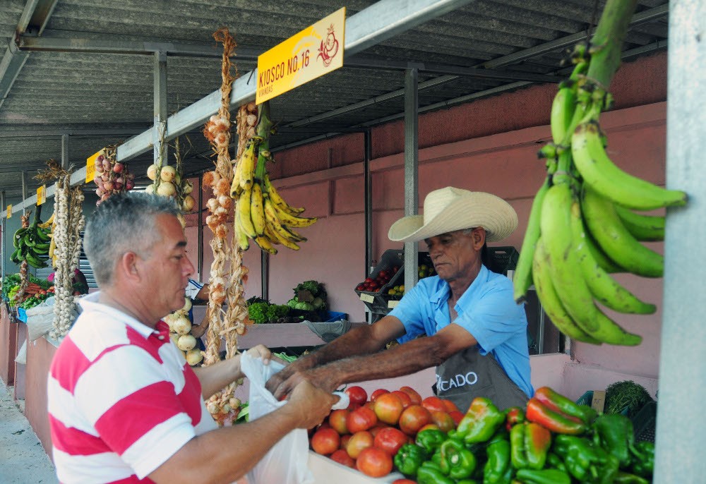 hombre de camisa rayada blanca y roja comprando vegetales de un hombre con sombrero de paja detrás de un estante con plátanos verdes colgados