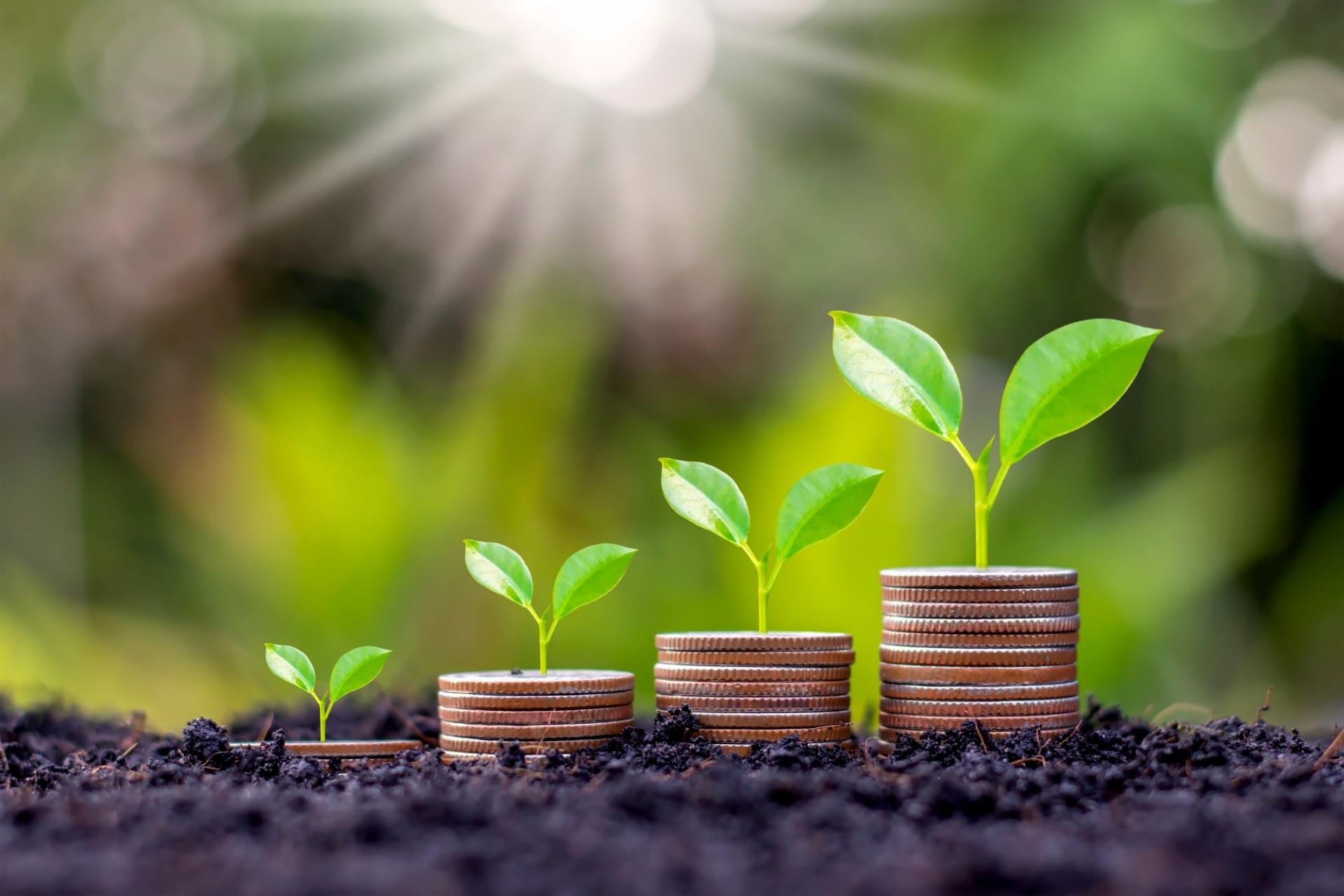 green plants growing from coins in dark earth