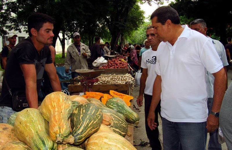 Man in white shirt looking at a table with agricultural products.