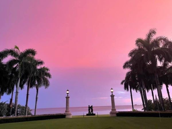vista del horizonte en la bahía con colores rosados y morados y palmas a los lados