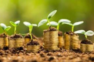 plants growing from coins