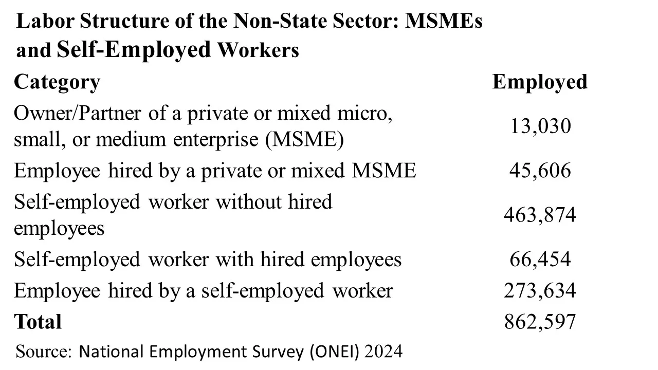 The image presents a table detailing the labor structure of the non-state sector in 2024, specifically focusing on MSMEs and self-employed workers (TCP).