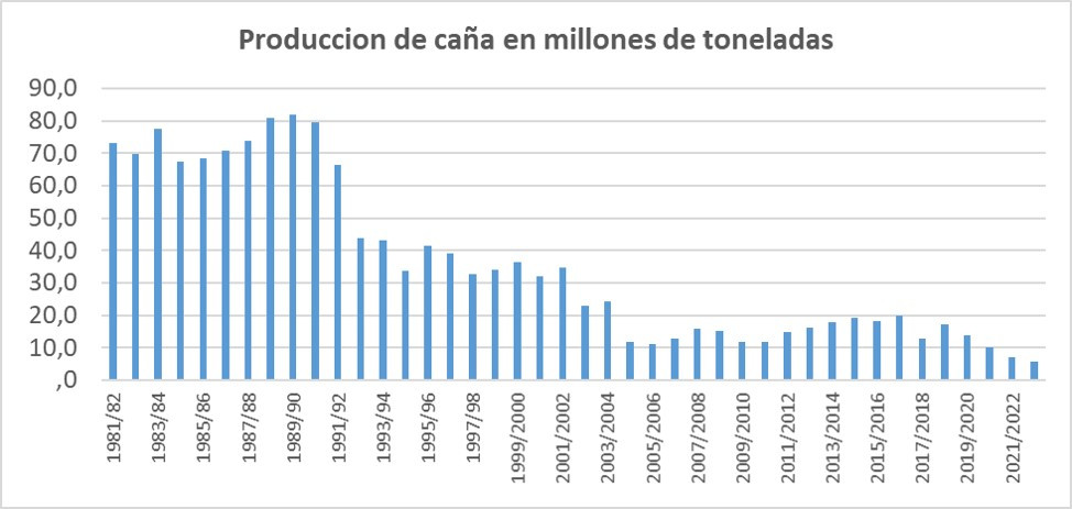 Gráfico de barras titulado “Producción de caña en millones de toneladas”. Presenta datos desde la zafra 1981/82 hasta 2021/22. La producción es alta en los años ochenta, con valores cercanos a 70–80 millones de toneladas, alcanza su punto máximo a finales de esa década, y luego desciende bruscamente en los años noventa. A partir de entonces se mantiene con fluctuaciones en niveles mucho más bajos, con una ligera recuperación en algunos años, pero termina en 2021/22 con uno de los niveles más bajos.