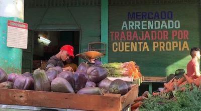 hombre con gorra roja pesando comida detrás de una carreta de berenjena