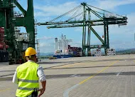 Man with white hard hat and yellow vest looking at a crane in the distance with a blue sky in the background