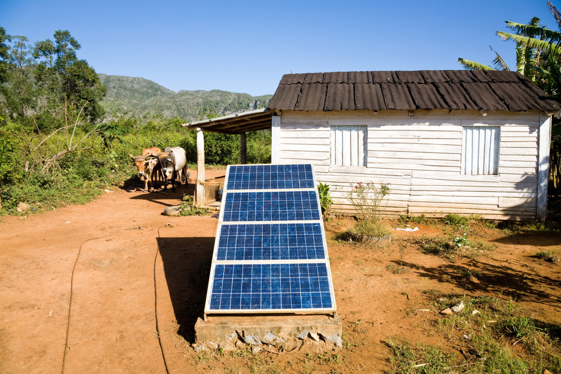 Fotografía de un entorno rural en Cuba. En primer plano se observan varios paneles solares inclinados instalados sobre una base de concreto en un terreno de tierra rojiza. Al fondo aparece una pequeña casa de madera pintada de blanco con techo oscuro. A la izquierda, cerca de un cobertizo, se distinguen dos bueyes atados. El paisaje está rodeado de vegetación abundante y montañas bajo un cielo despejado, representando el uso de energía solar en una comunidad rural.