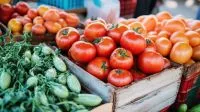 tomates y pepinos en cajas de madera
