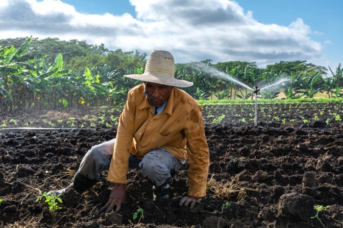 Photo of farmer wearing a straw hat sitting on the land with background of blue sky and white clouds