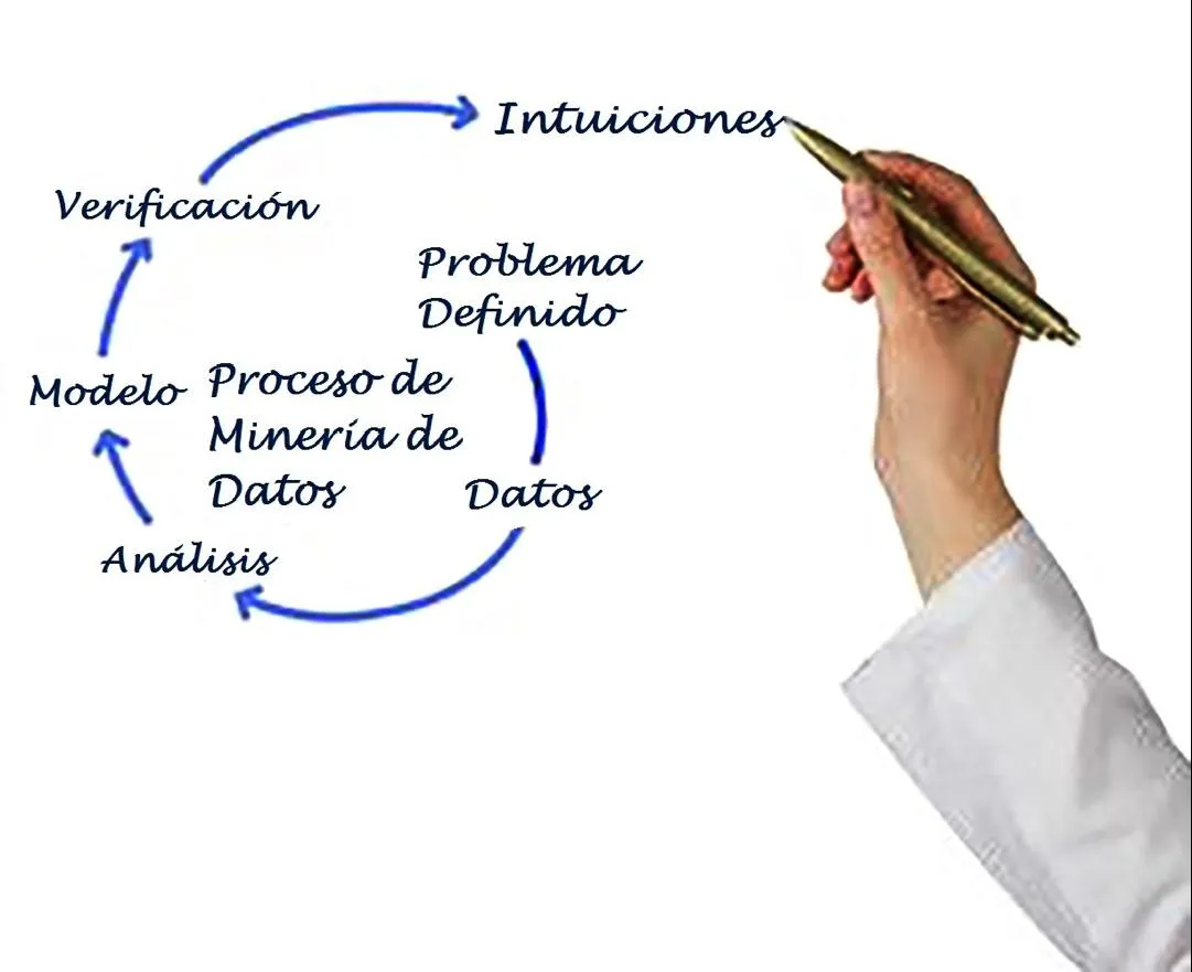 Proceso de minería de datos: problema definido, datos, análisis, modelo, verificación, intuiciones